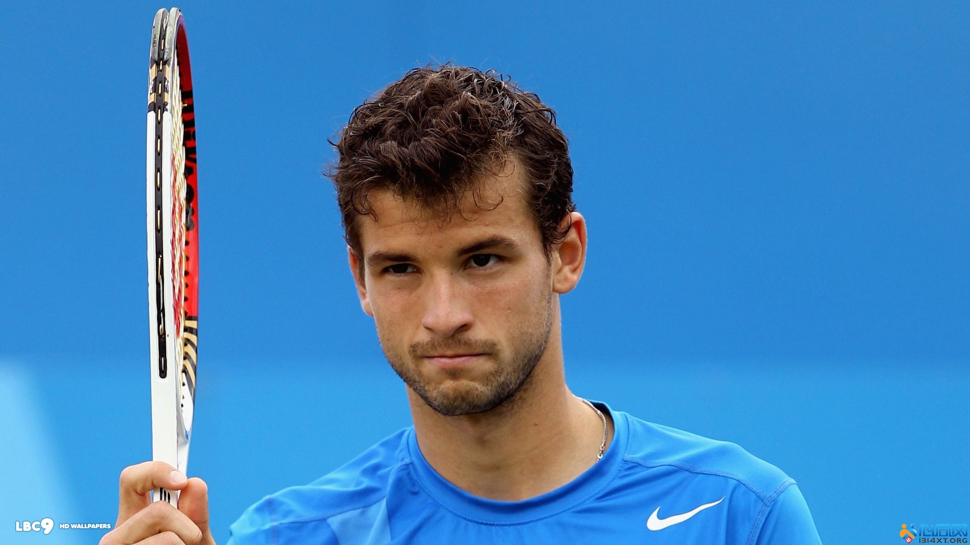 队整体实力 队整体实力